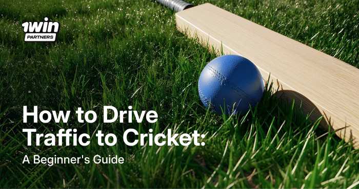 thumbnail-cricket-traffic-guideline